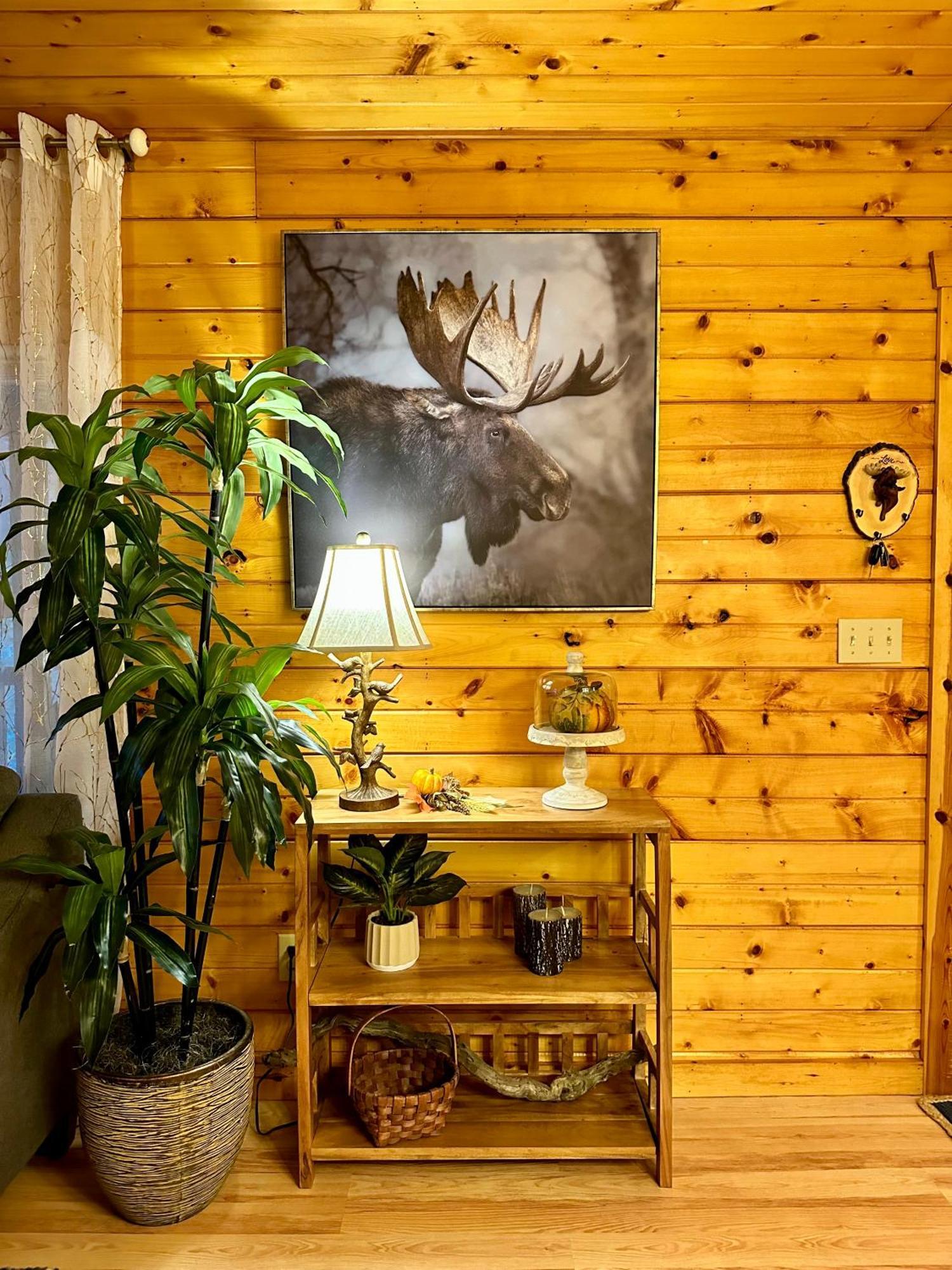 Cozy Cabin In Red River Gorge Rogers Ngoại thất bức ảnh